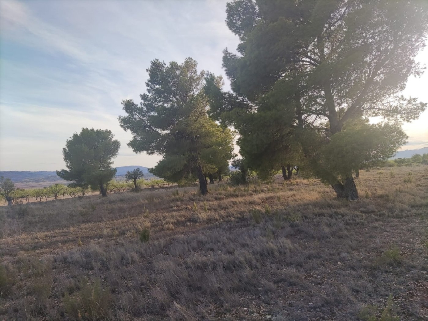  till salu tomt Monasterio De Rodilla Bureba (La) 6