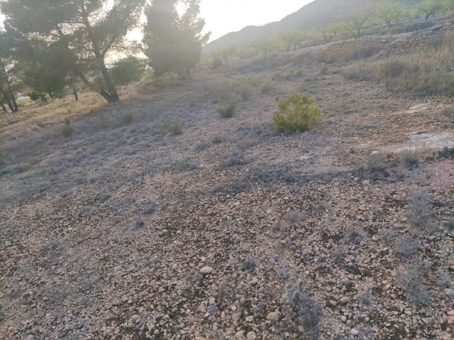 till salu tomt Monasterio De Rodilla Bureba (La) 2