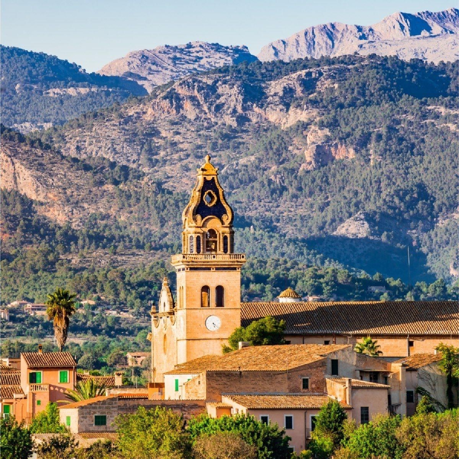 till salu tomt Santa Maria Del Camí Raiguer 7