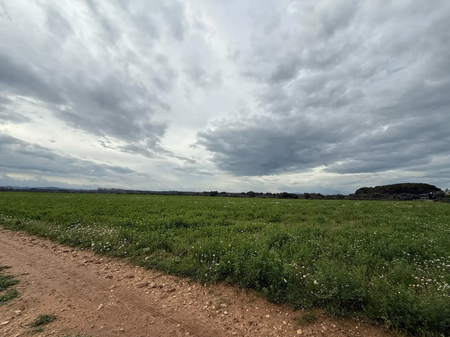  till salu tomt Mare De Deu De Vida Alt Empordà 1