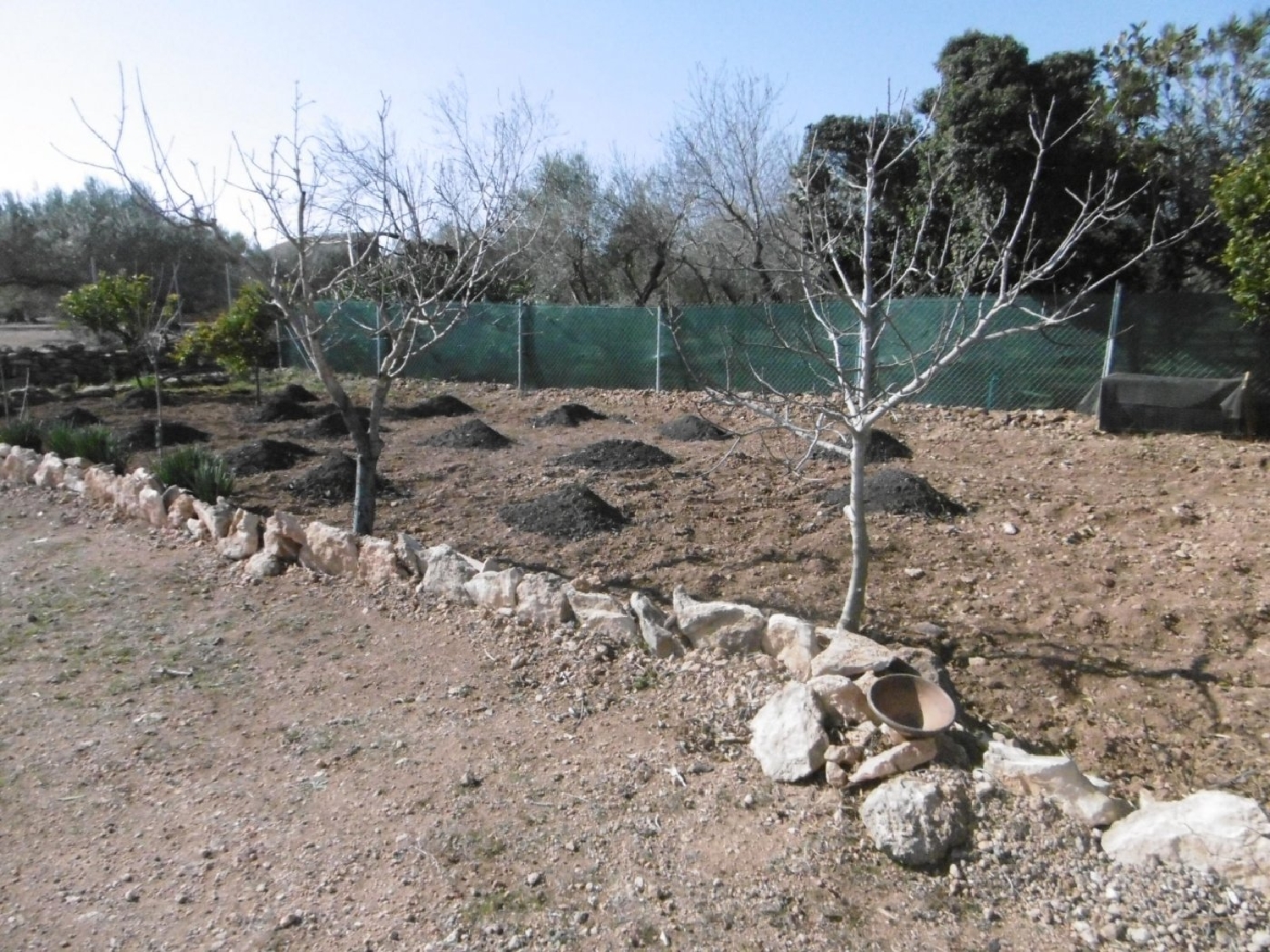  till salu tomt La Font De Quinto Baix Ebre 4