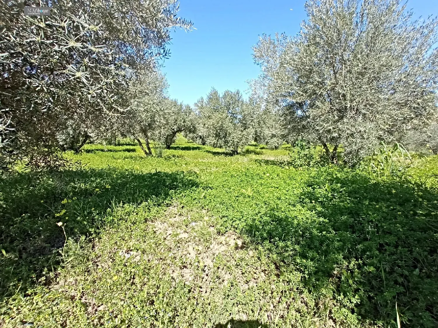  till salu tomt Santa Rosalia-Maqueda Málaga-Costa Del Sol 4