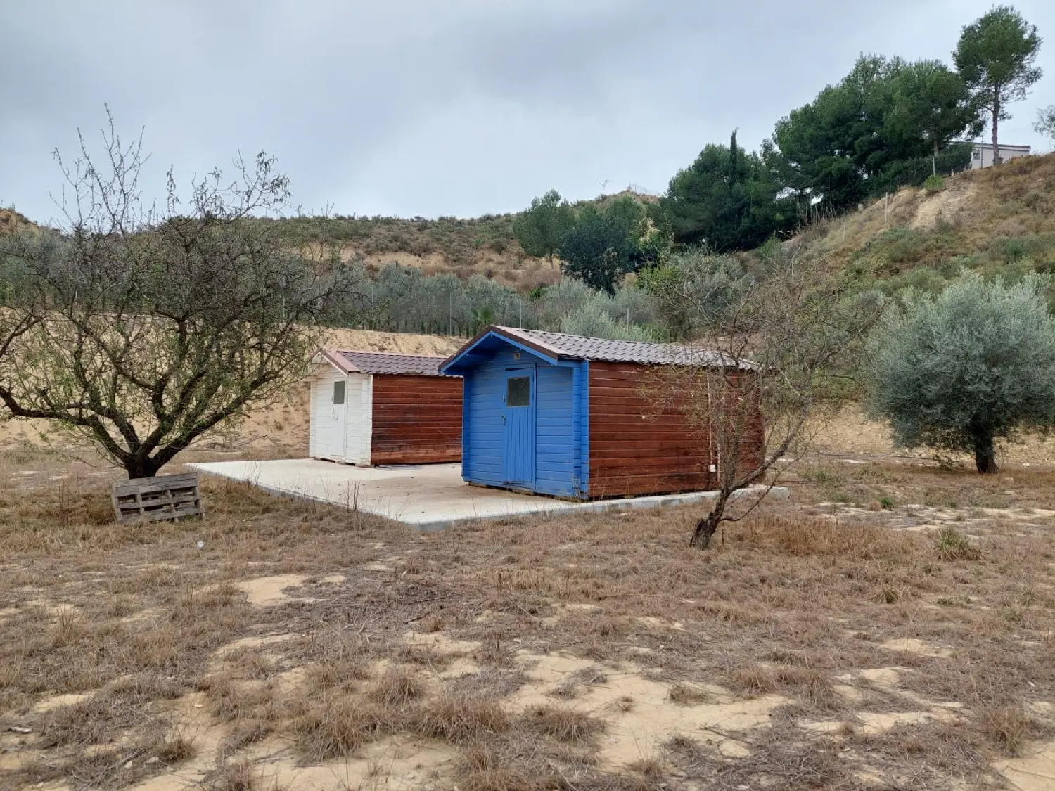  till salu tomt Algezares Huerta De Murcia 1