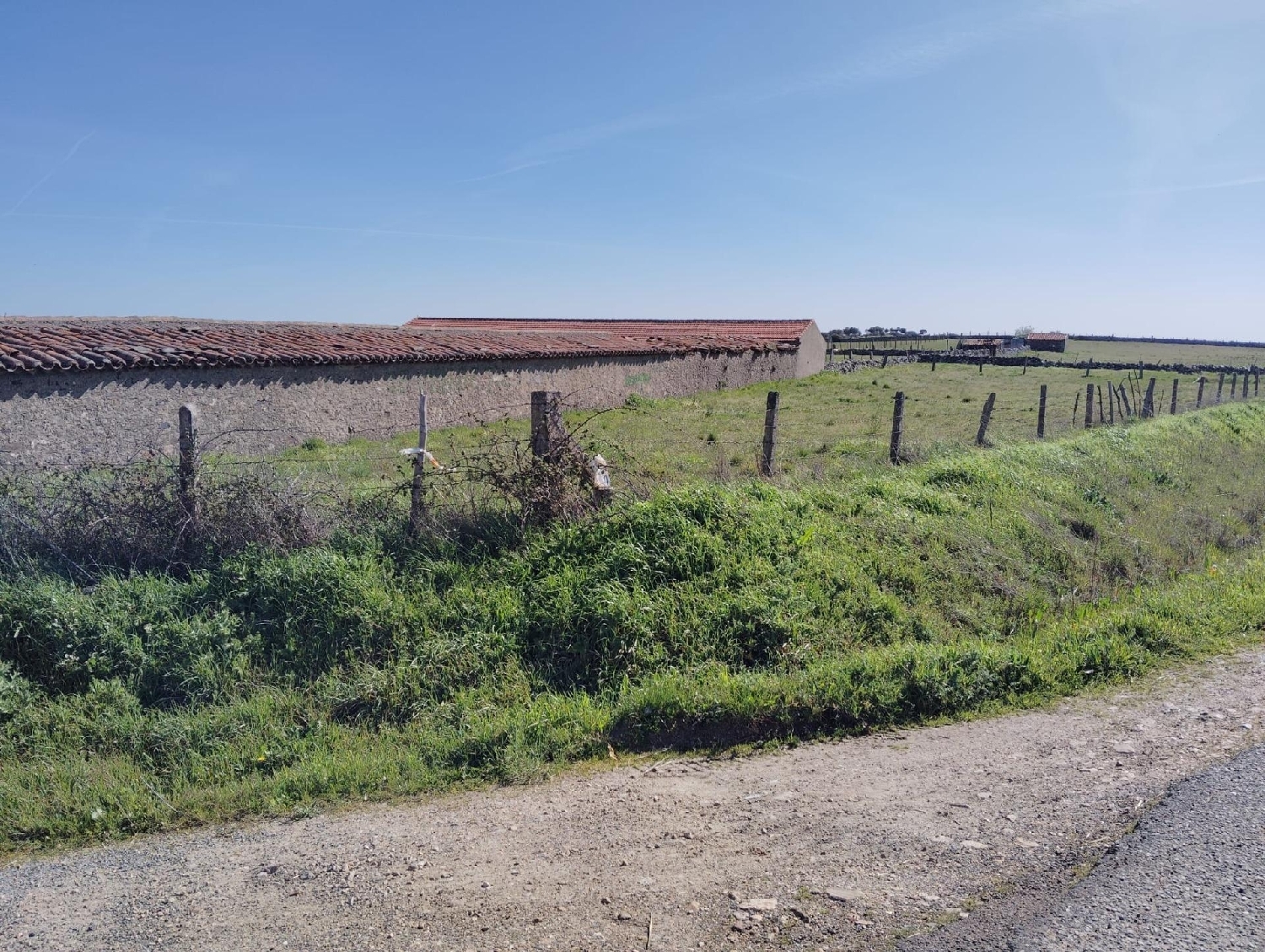  till salu tomt Segovia De Sacedón Campo De Salamanca 5
