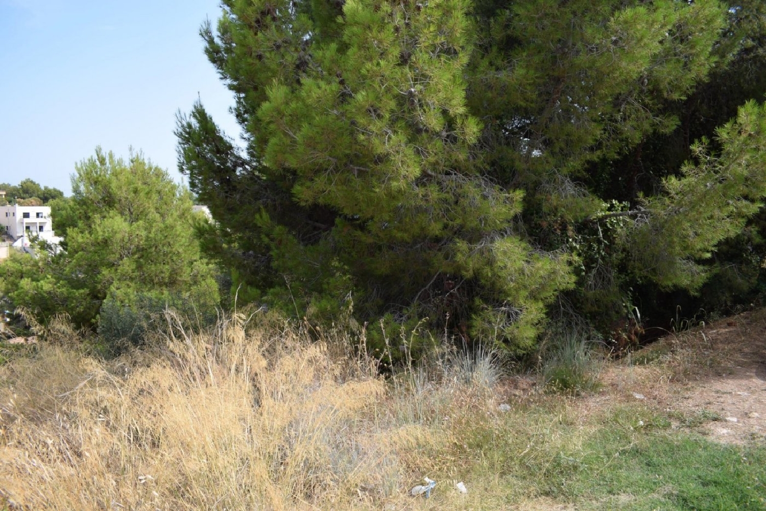 en venta terreno Segur De Calafell Baix Penedès 4