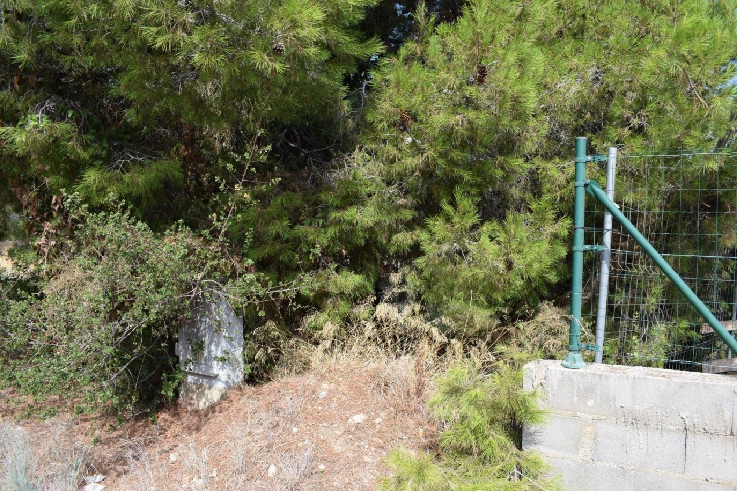  en venta terreno Segur De Calafell Baix Penedès 8