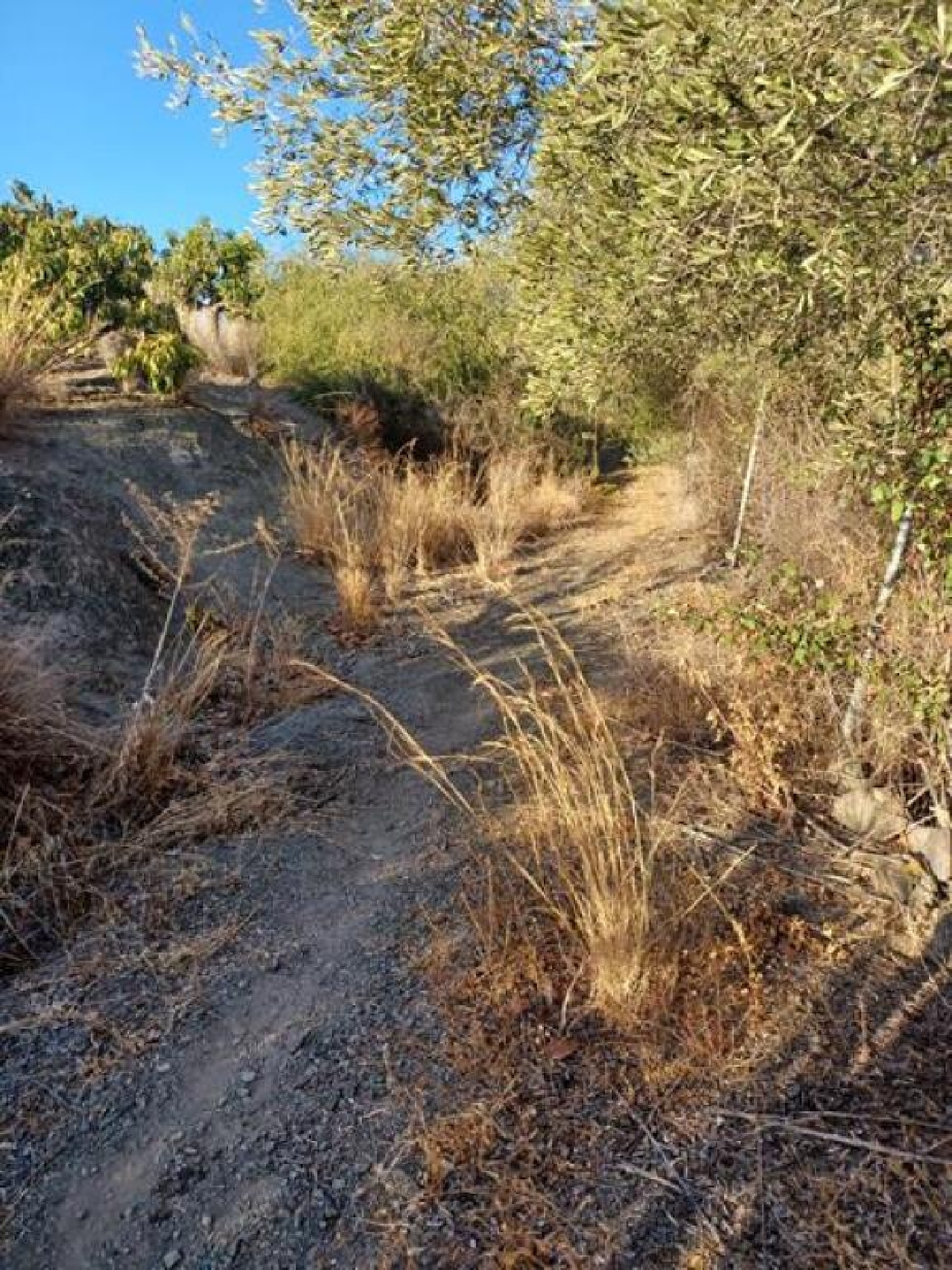  till salu tomt Reinoso Costa Del Sol Occidental 12