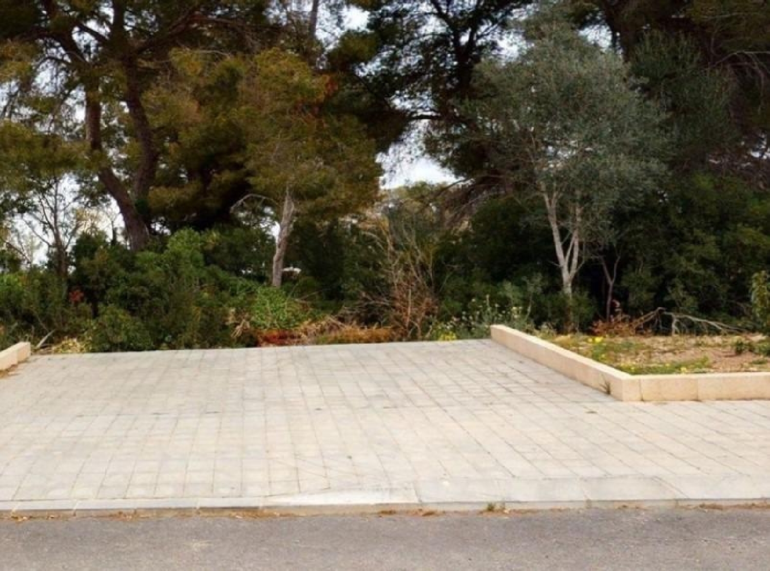 till salu tomt Ses Cadenes Palma 2