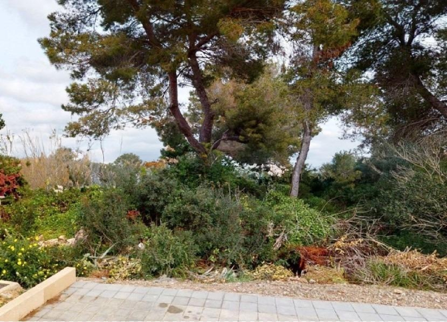  till salu tomt Ses Cadenes Palma 6