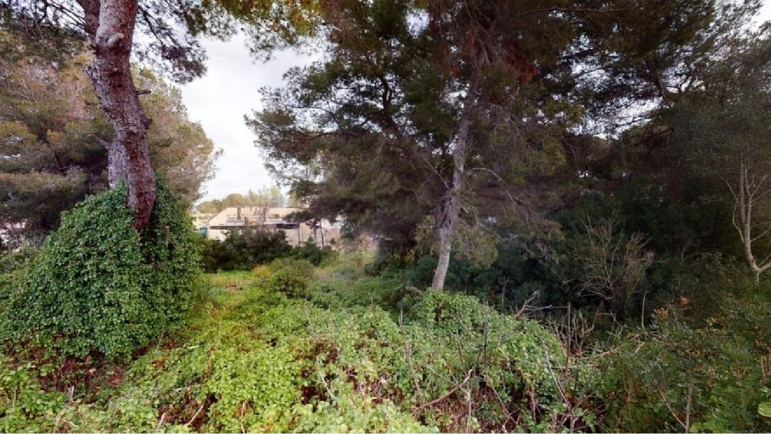  till salu tomt Ses Cadenes Palma 8