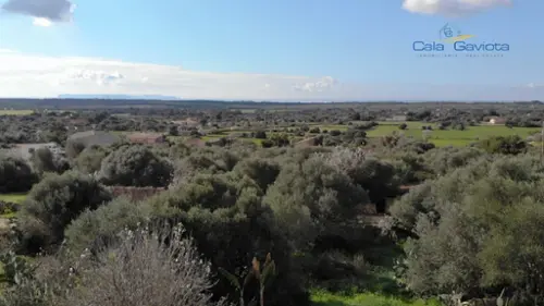 Ses Salines Sud tomt foto 6207508