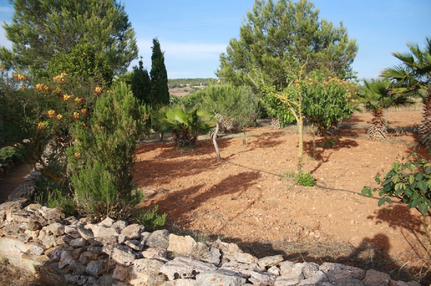  till salu tomt Ses Salines Sud 6