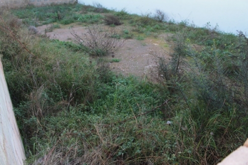 Ses Salines Sud tomt foto 6240827
