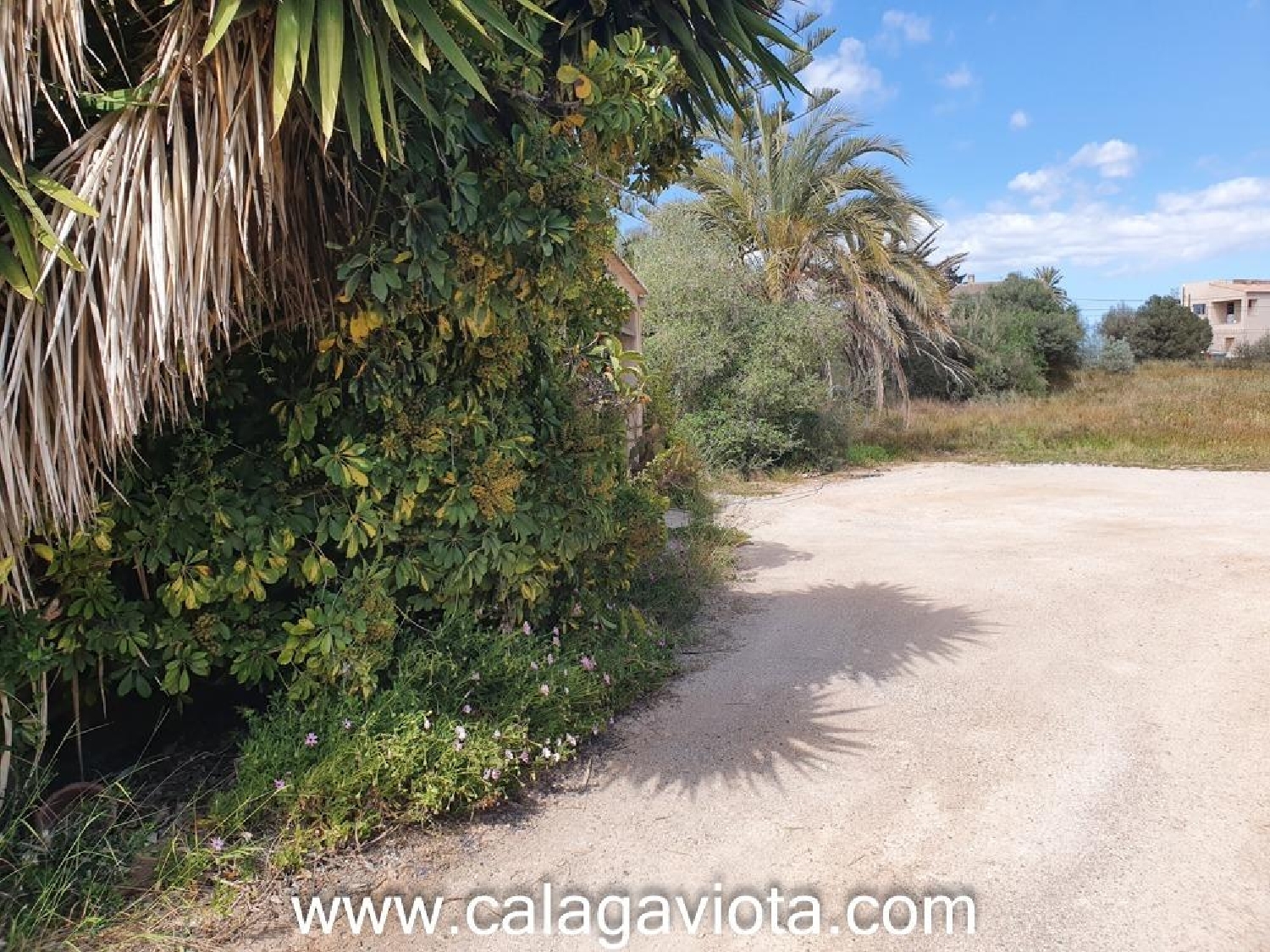 till salu tomt Ses Salines Sud 2