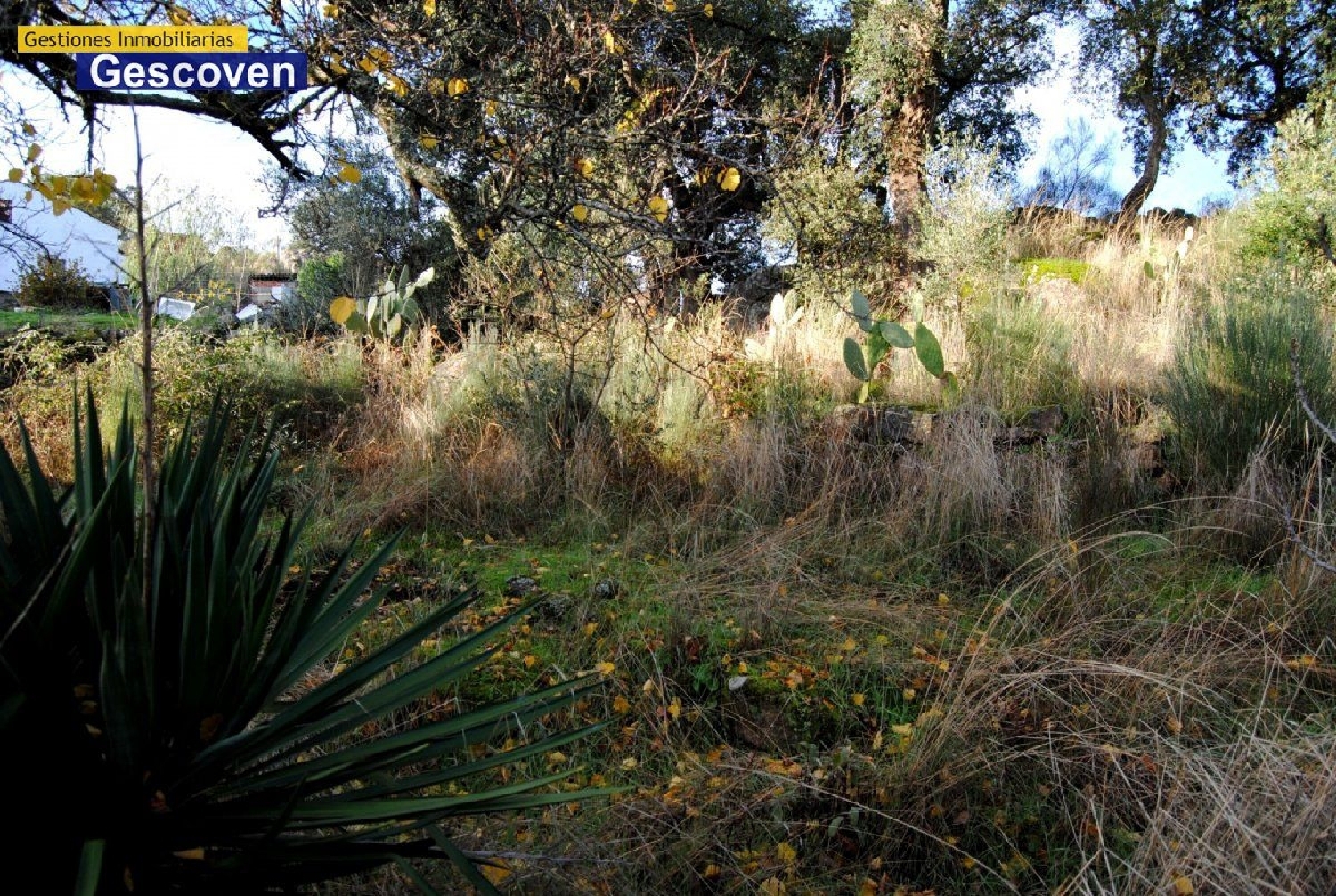  en venta terreno Riomalo De Arriba Hurdes 2