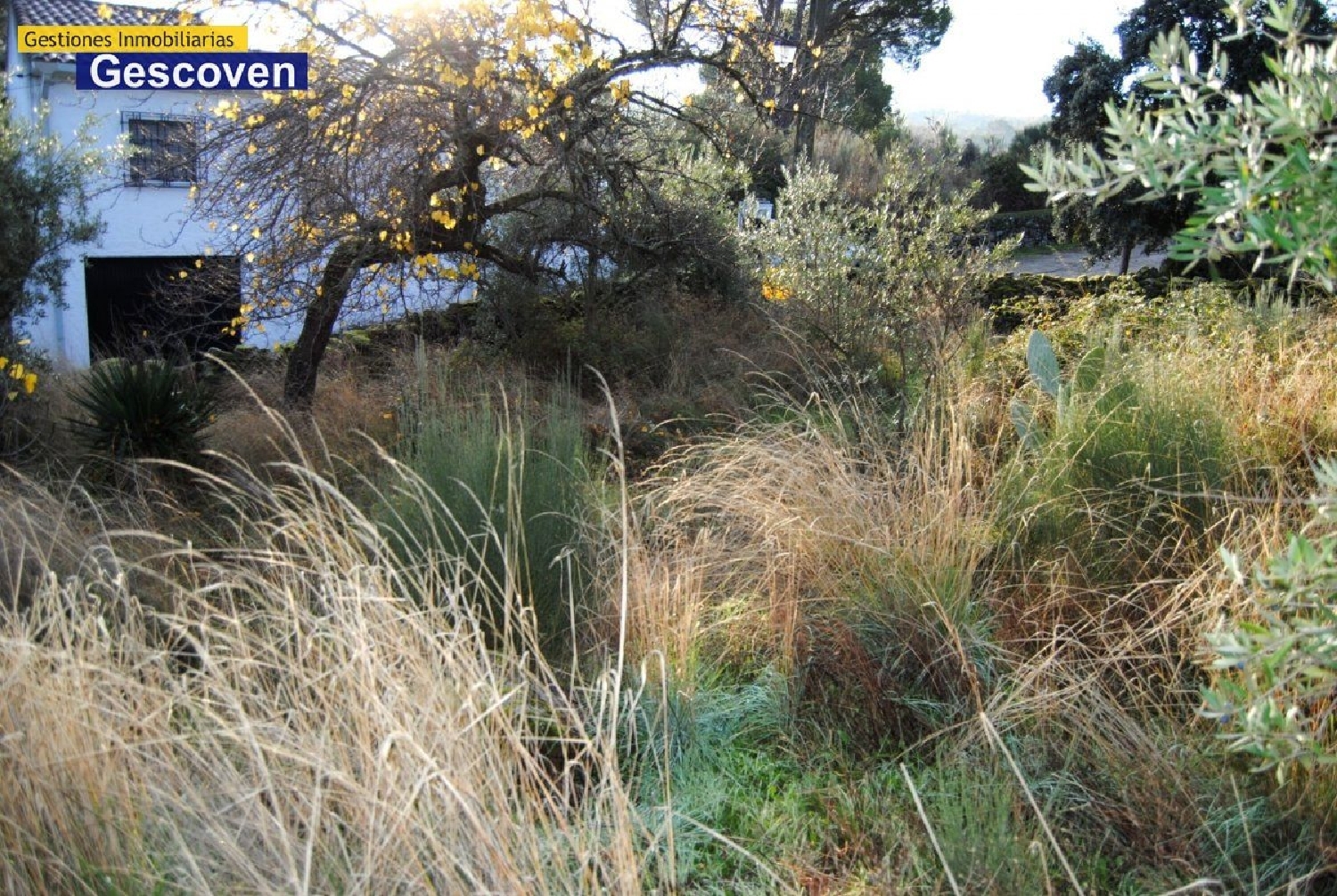  en venta terreno Riomalo De Arriba Hurdes 6
