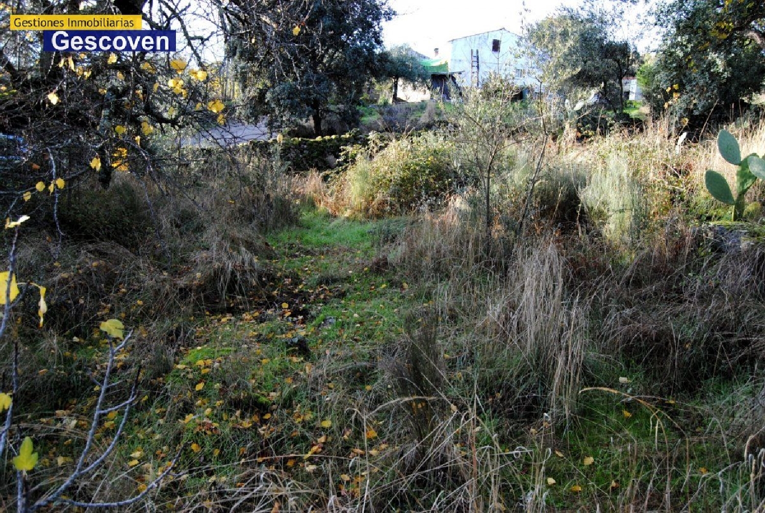  en venta terreno Riomalo De Arriba Hurdes 5
