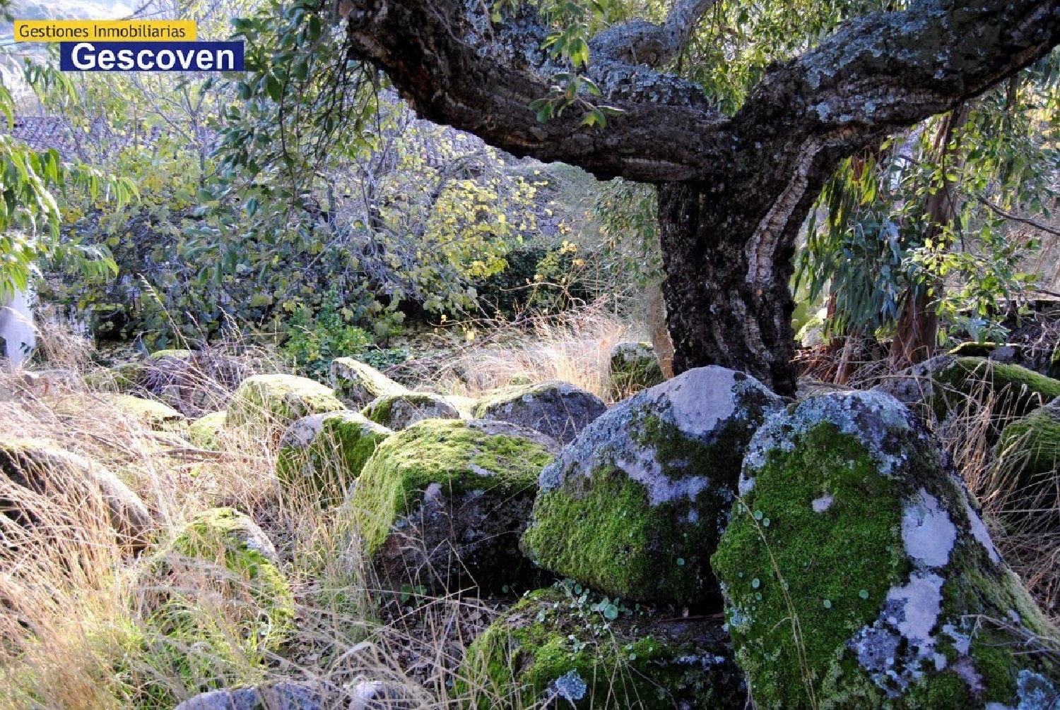  en venta terreno Riomalo De Arriba Hurdes 7