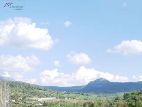 Sierra De San Cristobal Campiña De Jerez tomt foto 6252651