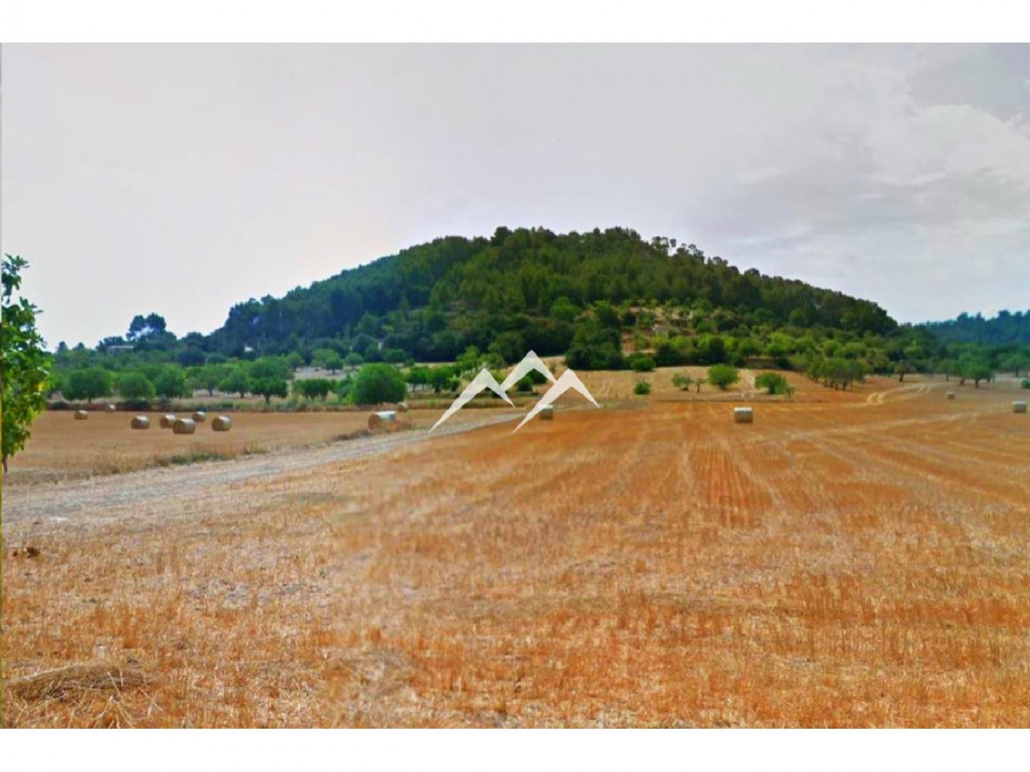  till salu tomt Sineu Pla (Es) 3