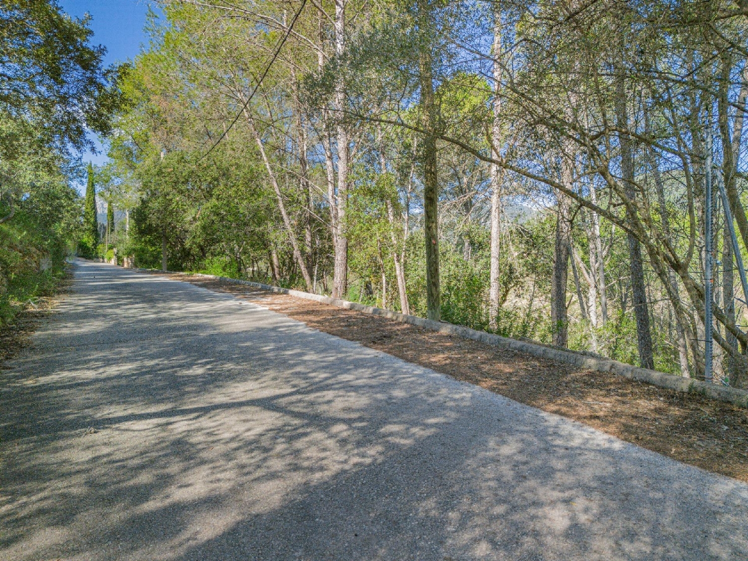  till salu tomt Son Serralta Tramuntana 6