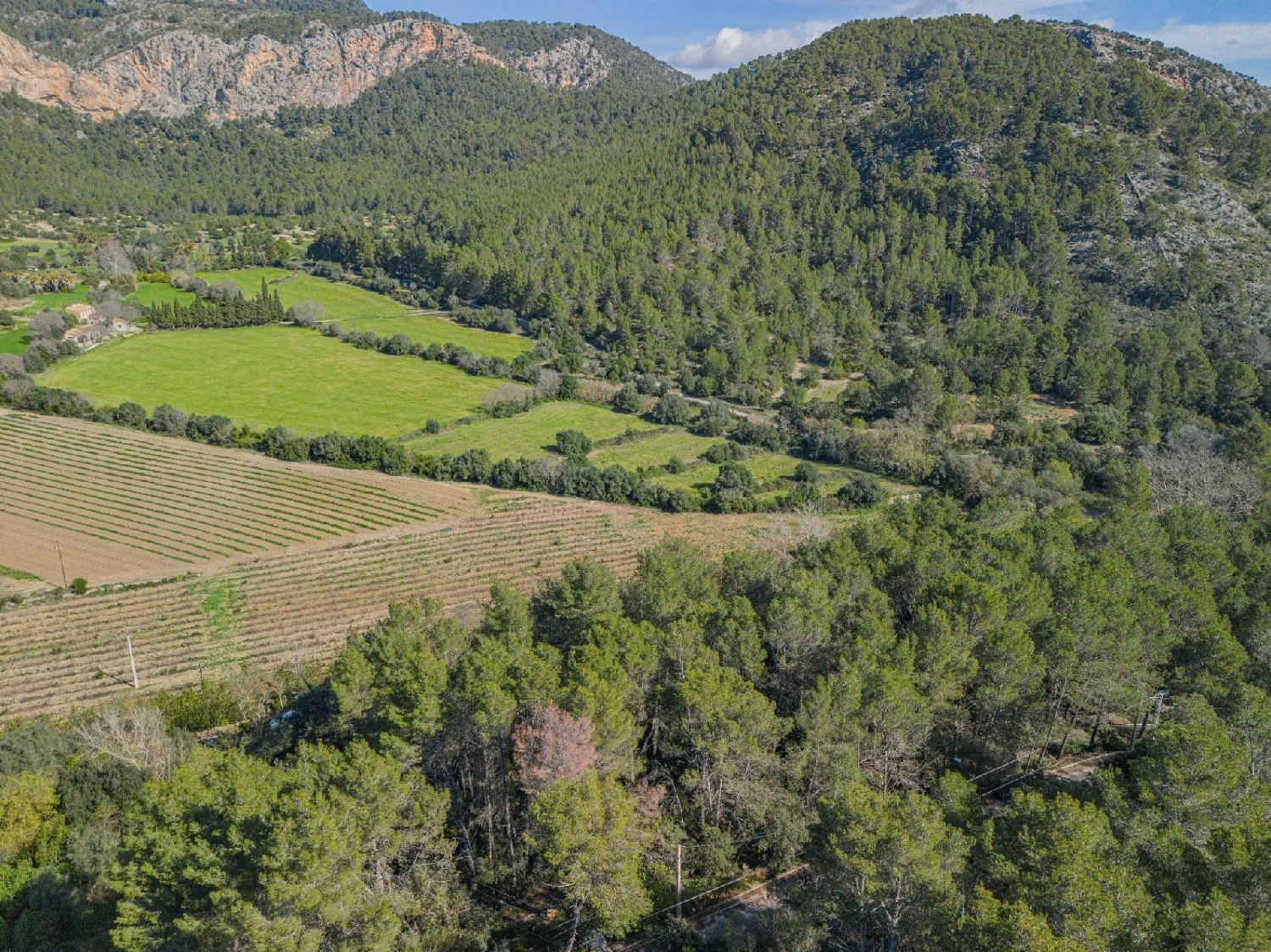  till salu tomt Son Serralta Tramuntana 4