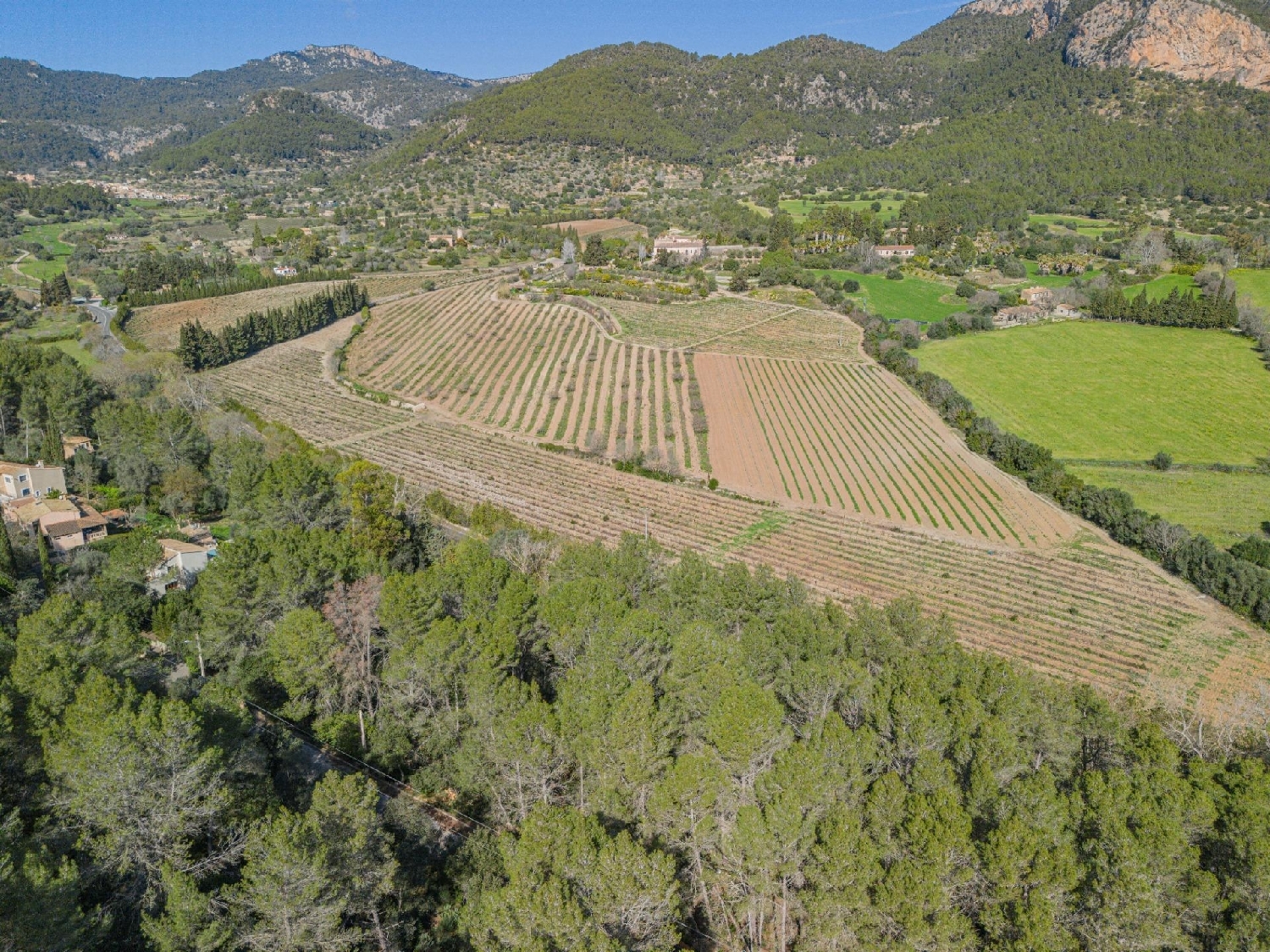  till salu tomt Son Serralta Tramuntana 2