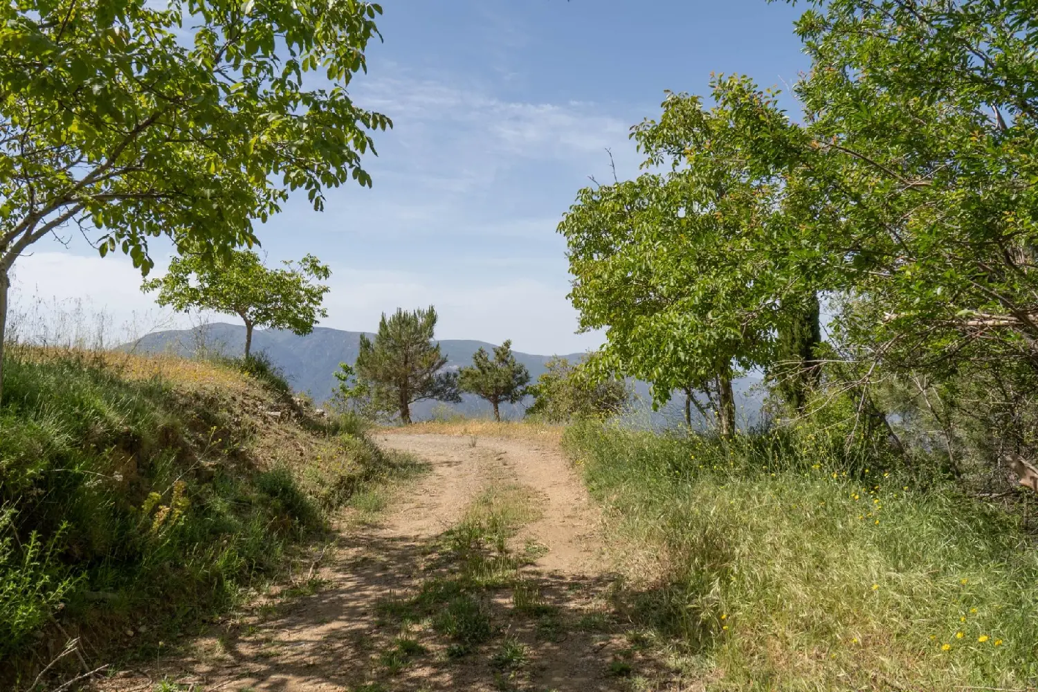  till salu tomt Carataunas Alpujarra Granadina 4
