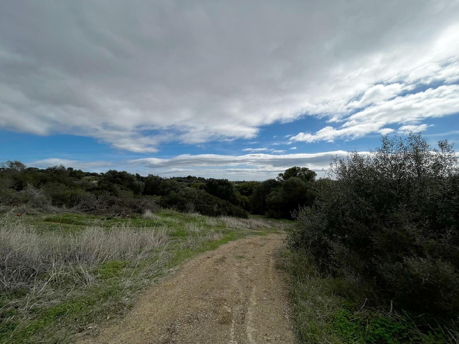 till salu tomt Sotogrande Campo De Gibraltar 2