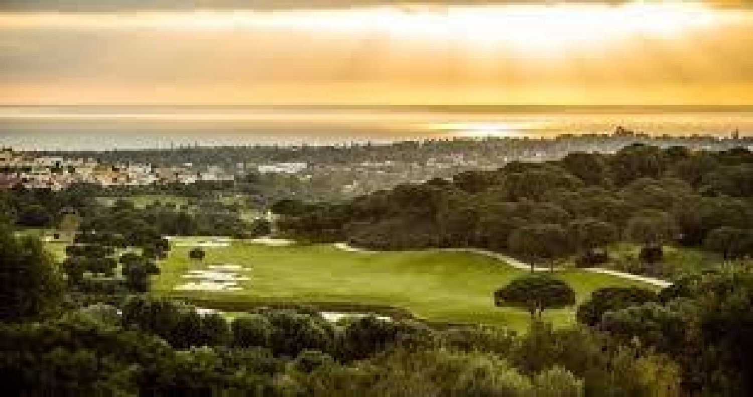  till salu tomt Sotogrande Campo De Gibraltar 8