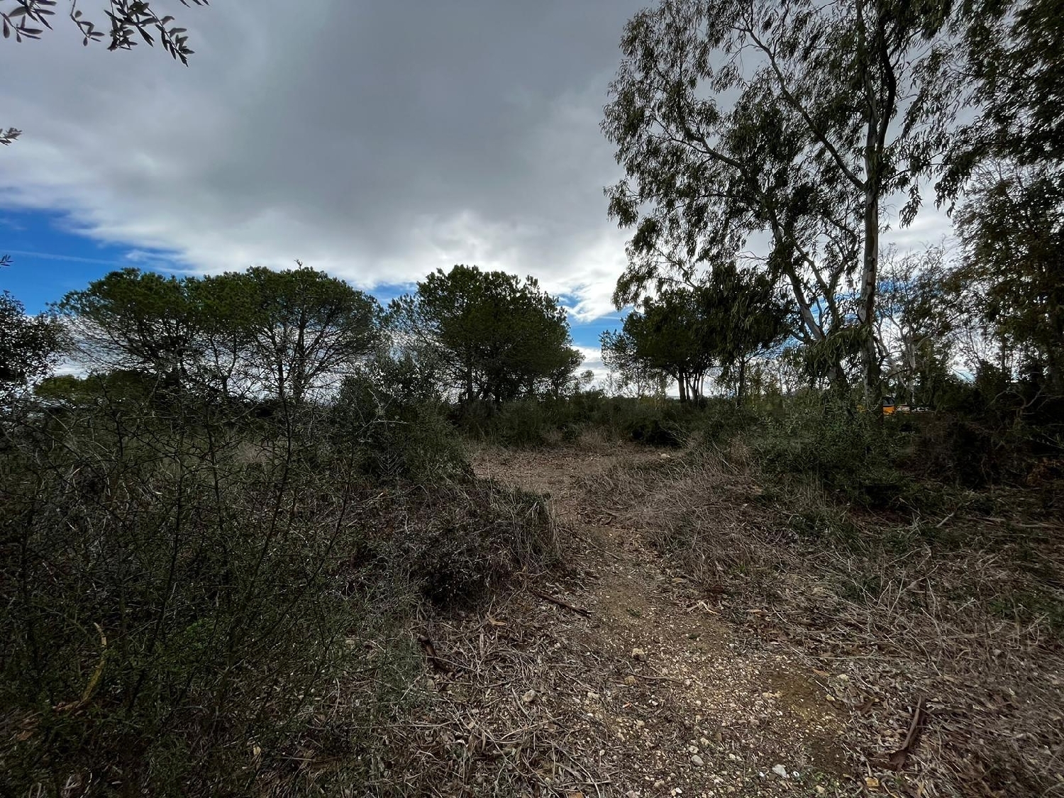 till salu tomt Sotogrande Campo De Gibraltar 2