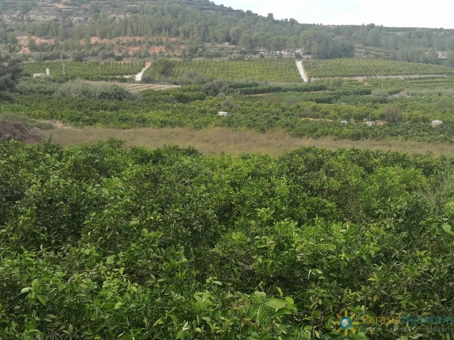  en venta terreno Sellent Ribera Alta 8