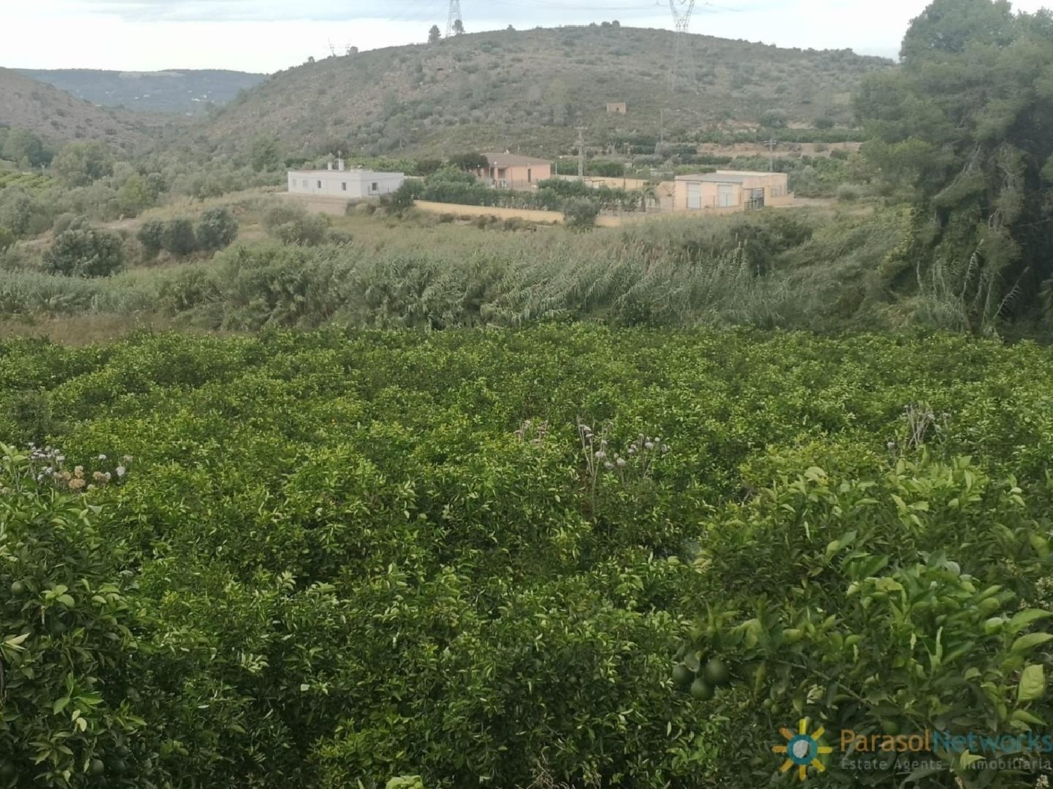  en venta terreno Sellent Ribera Alta 7
