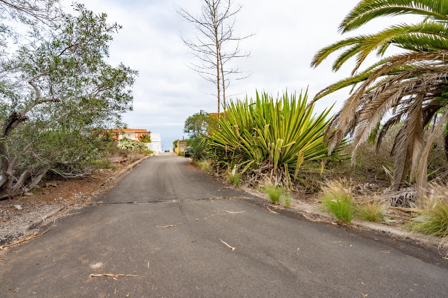  for sale plot Tacoronte Zona Norte 2