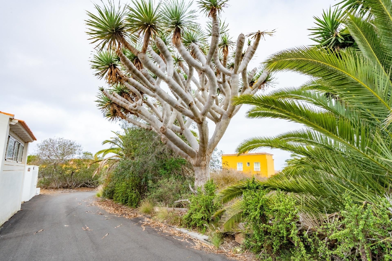  for sale plot Tacoronte Zona Norte 5
