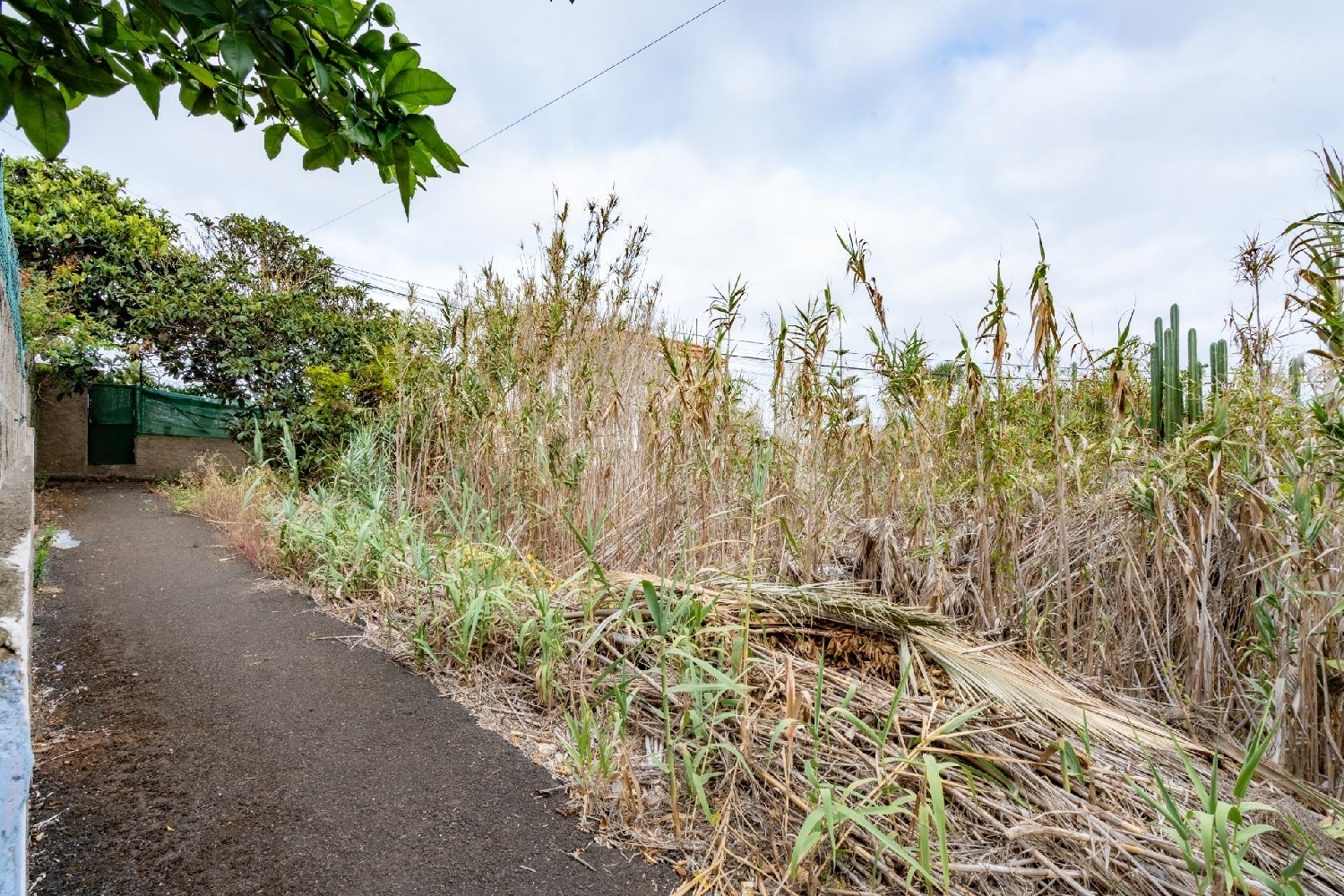  for sale plot Tagoro Zona Norte 3