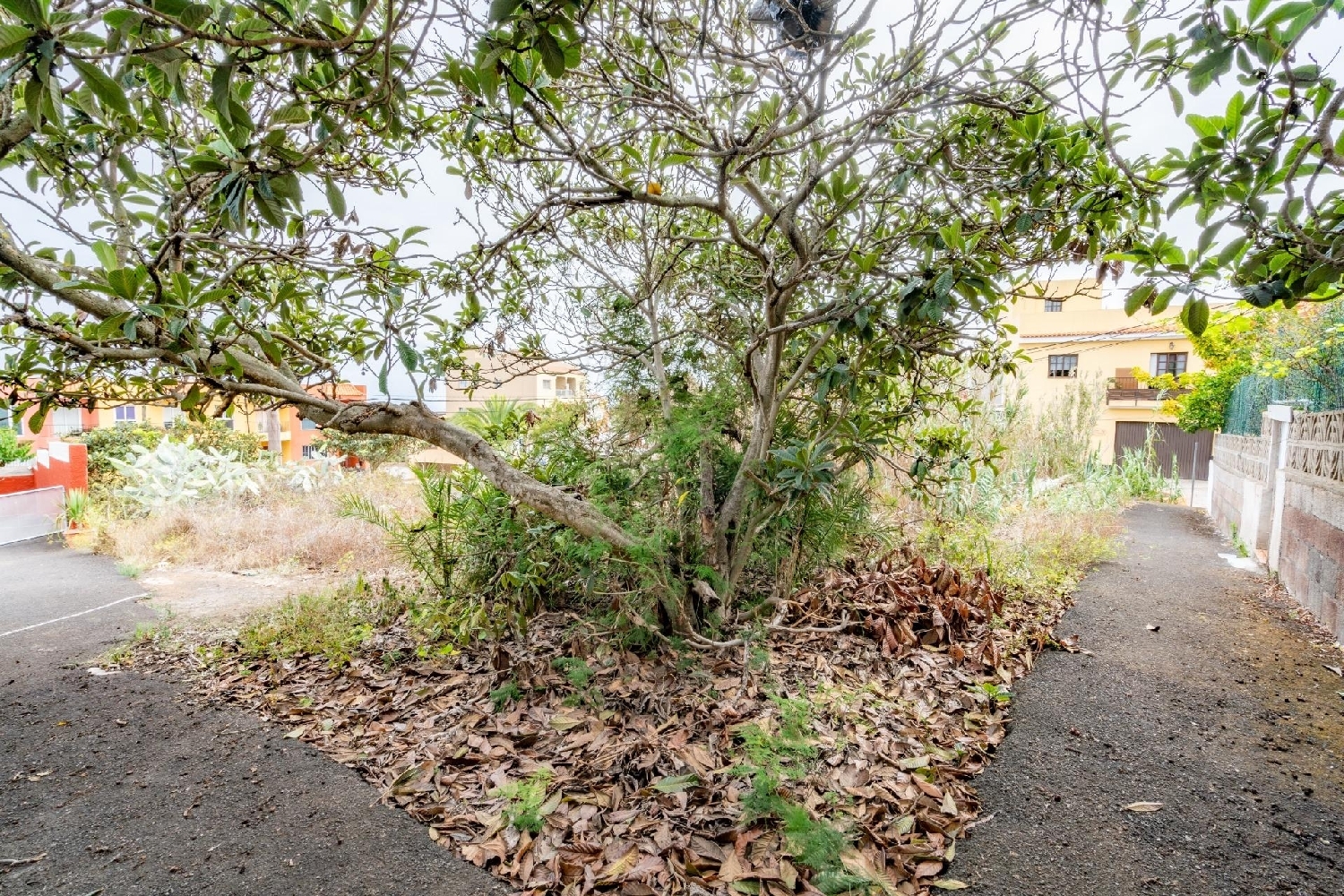  for sale plot Tagoro Zona Norte 4