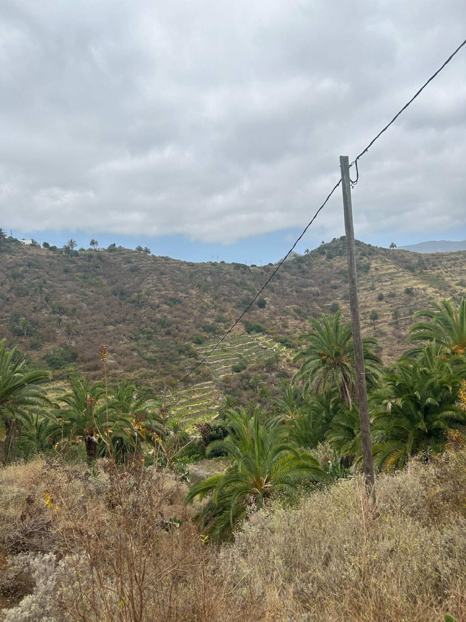  till salu tomt Tamargada Gomera (La) 6