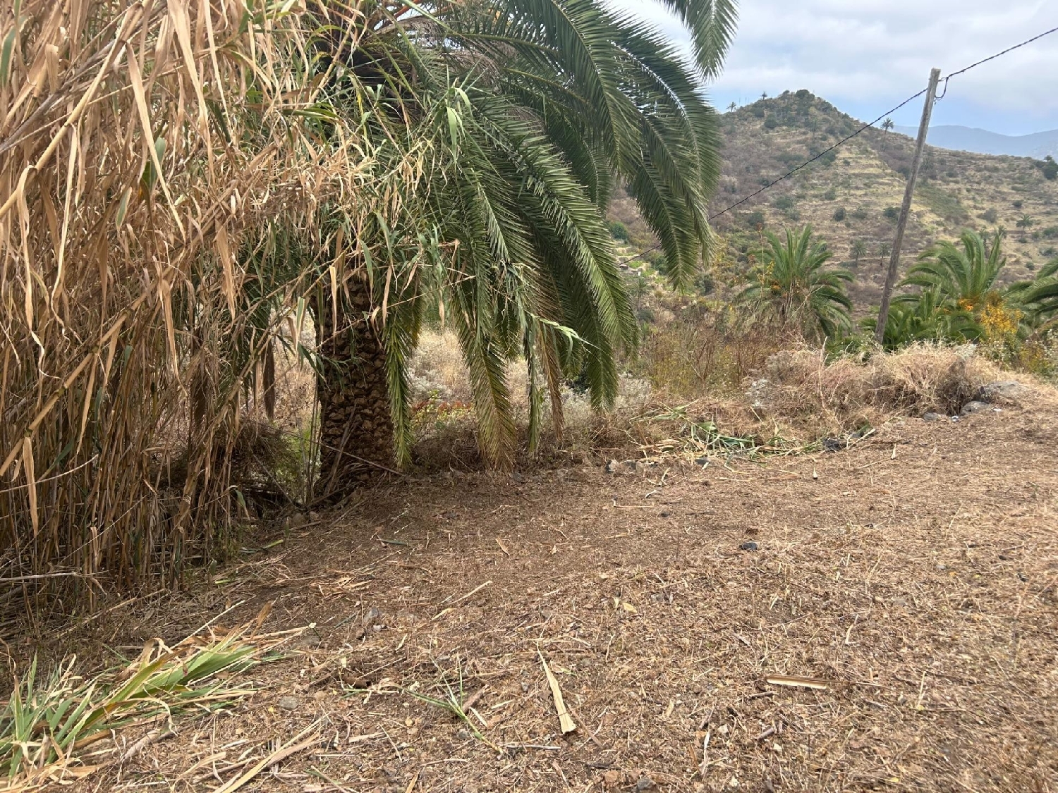  till salu tomt Tamargada Gomera (La) 5