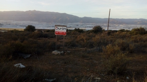 Tarambana Poniente Almeriense tomt foto 6236440