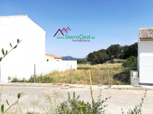 Tavizna Sierra De Cádiz tomt foto 6252600