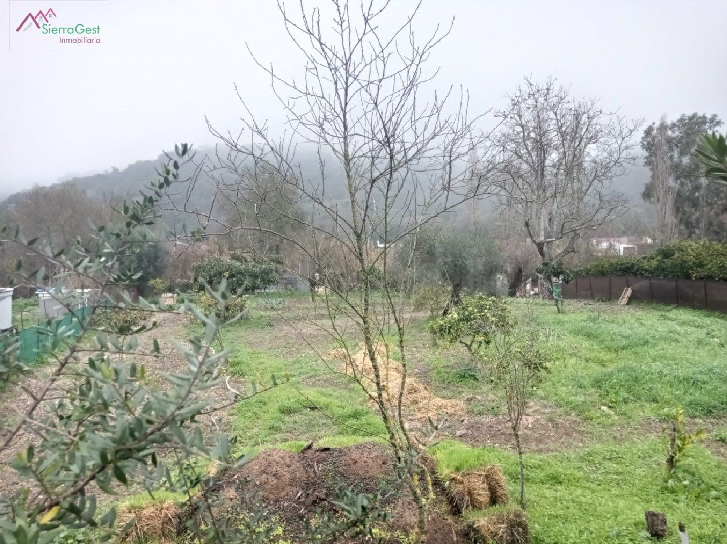  till salu tomt Tavizna Sierra De Cádiz 1