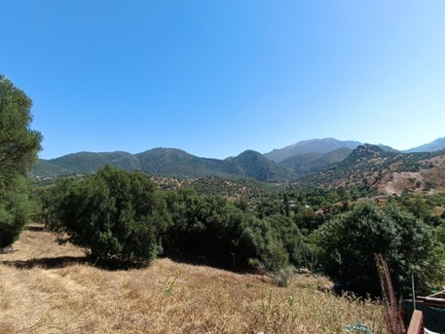 Tavizna Sierra De Cádiz tomt foto 6252764