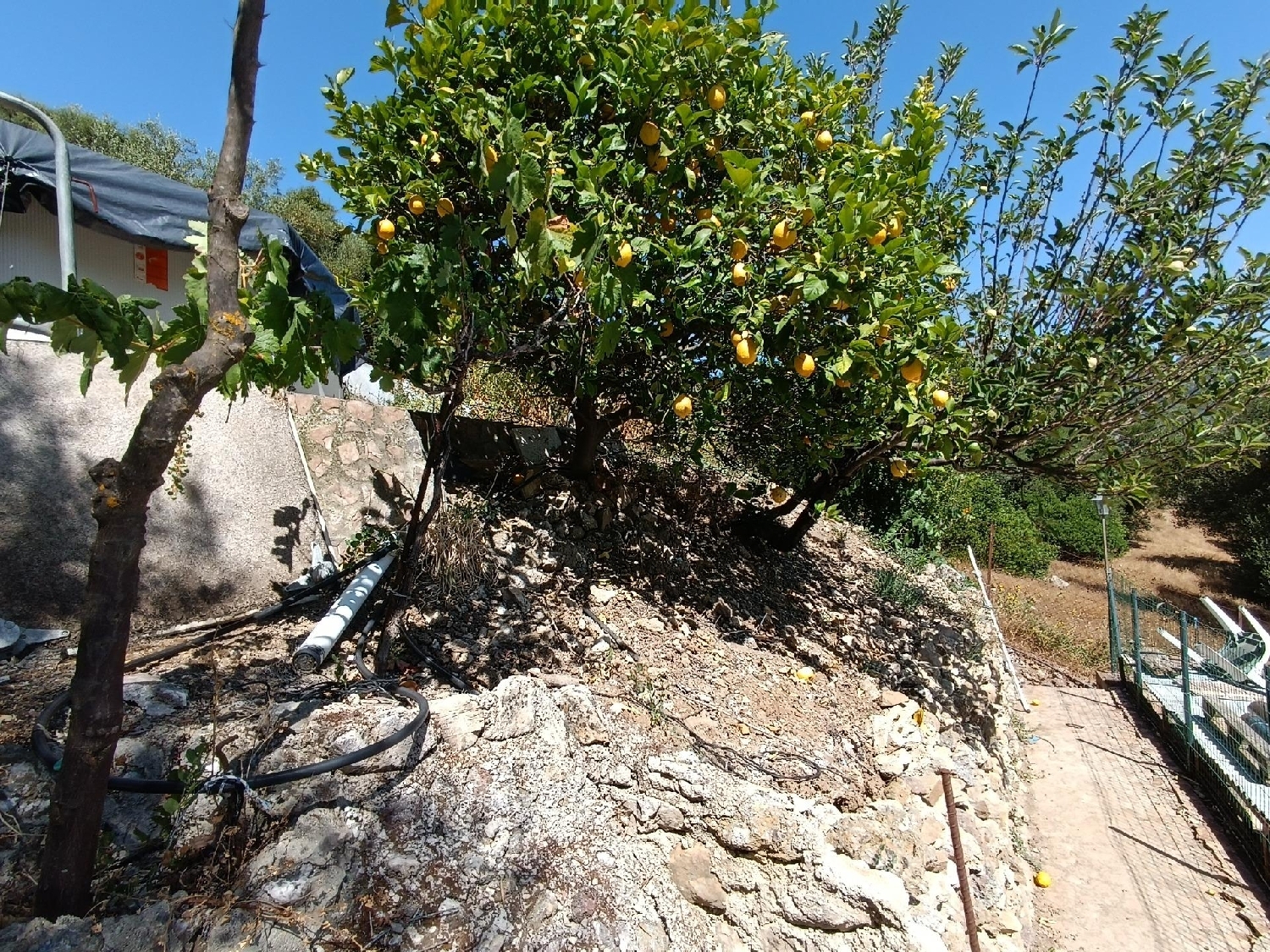 till salu tomt Tavizna Sierra De Cádiz 3