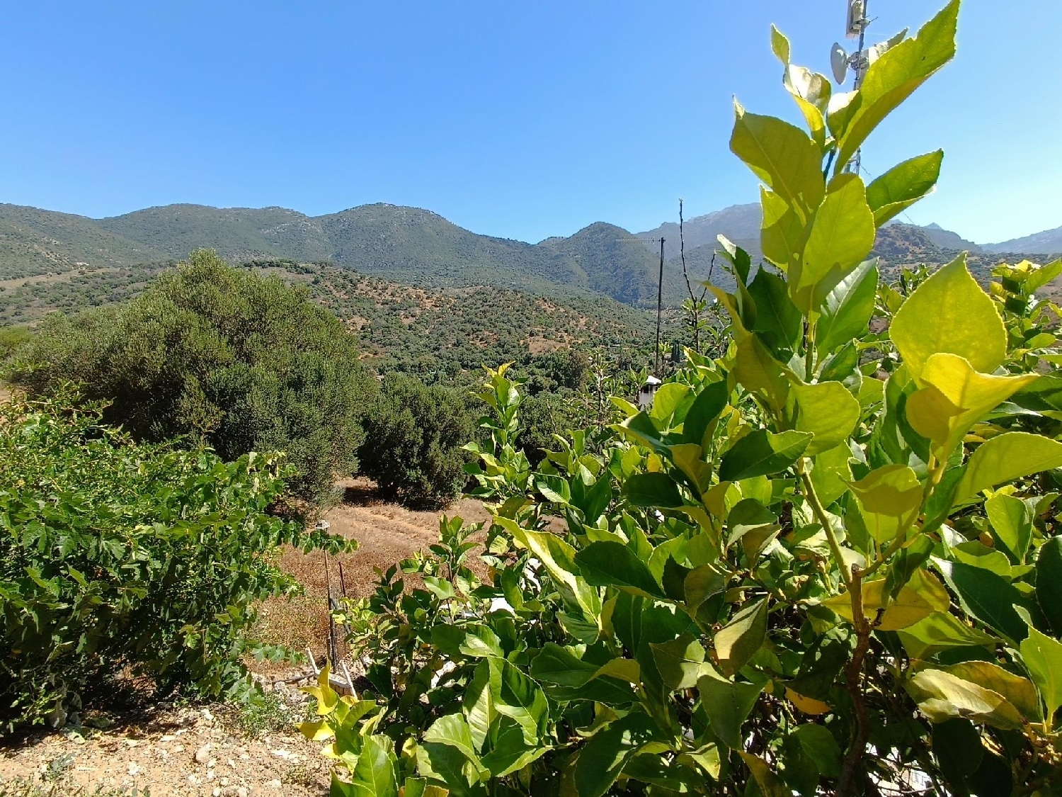 till salu tomt Tavizna Sierra De Cádiz 2
