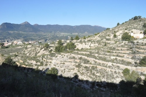 Tibi Alcoia tomt foto 6239073