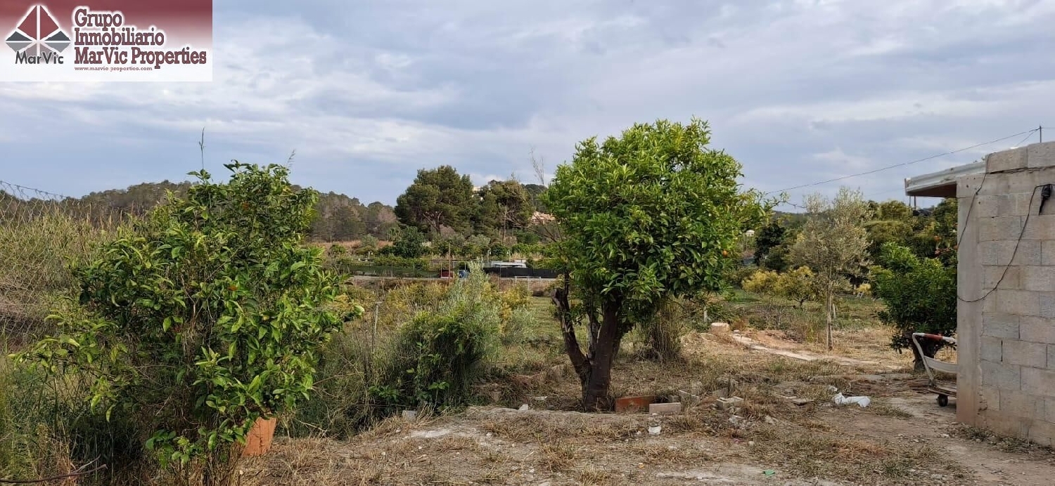 till salu tomt Torre De La Horadada Baix Segura 3