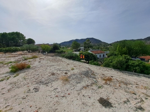 Xàtiva Costera (La) tomt foto 6233443