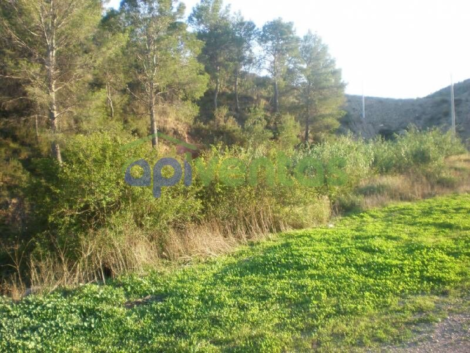  till salu tomt Torrecilla Alto Guadalentín 8