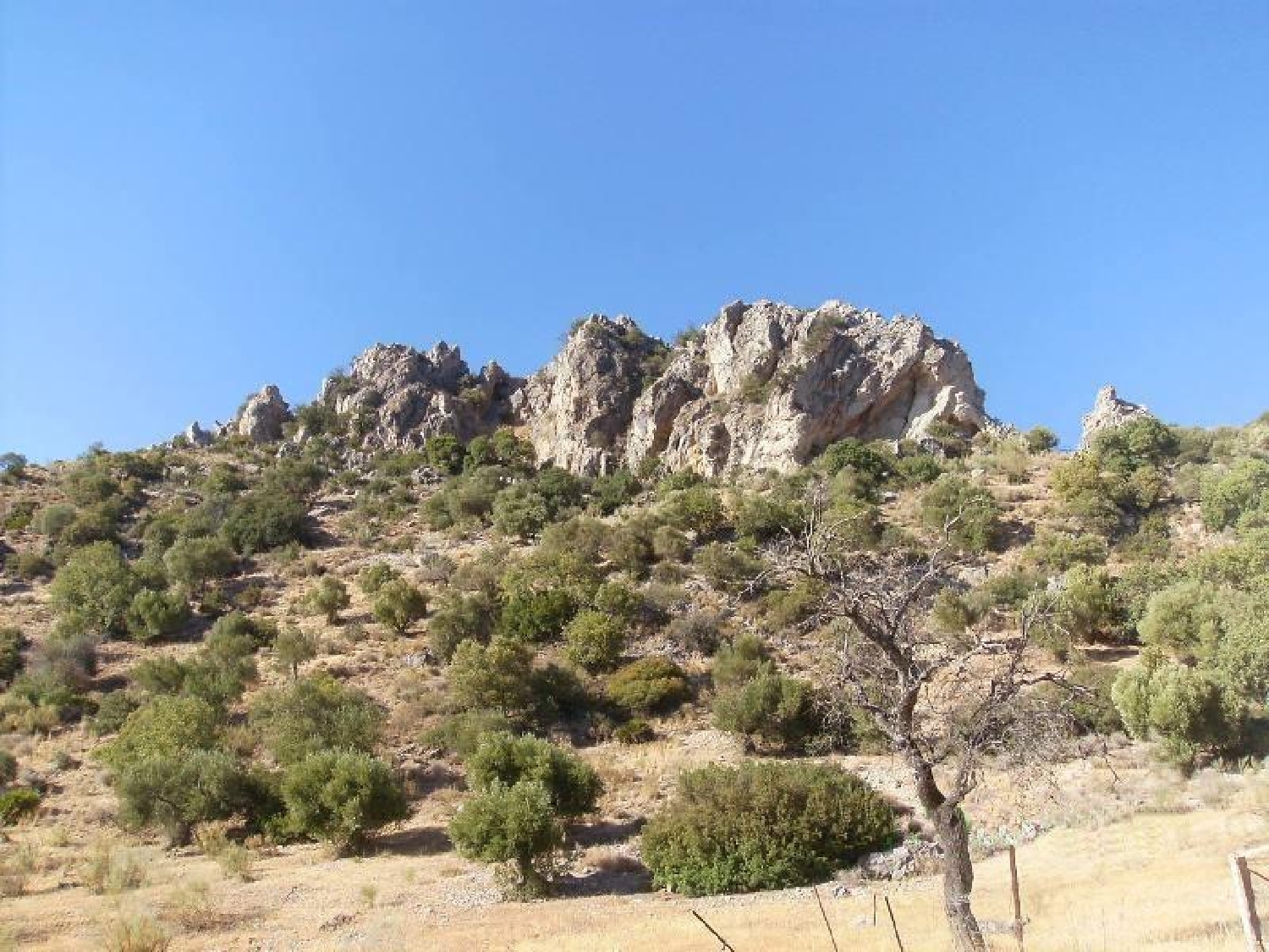  till salu tomt Torreguadiaro Campo De Gibraltar 8